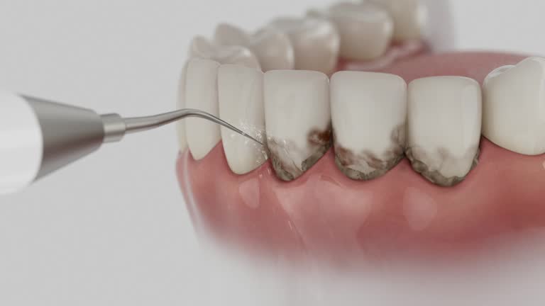 Reliable Dental contractor in Fort Dick, CA by Dentist Open Now